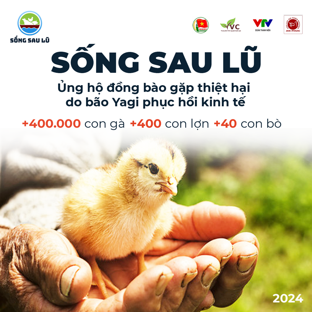QNTD dong hanh cung song sau lu 2024