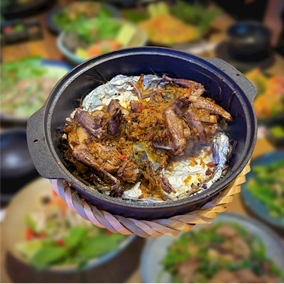 Chim Câu Nổ Muối